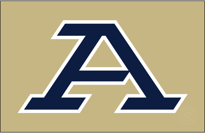 Akron Zips 2022-Pres Primary Dark Logo v2 diy iron on heat transfer